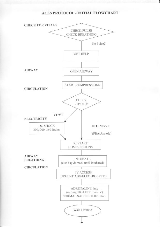 arrest1.gif (79602 bytes)